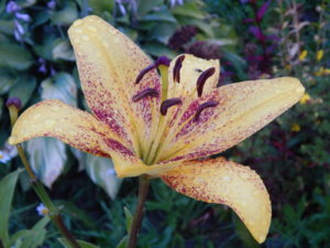 DSCN3769.JPG