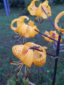 DSCN3771.JPG