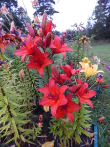 DSCN3786.JPG