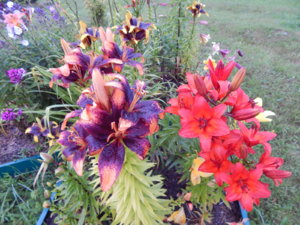 DSCN3787.JPG