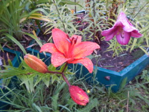 DSCN3789.JPG