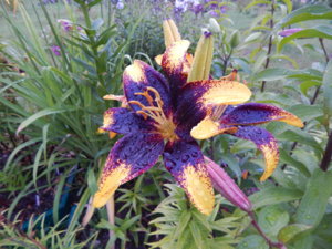 DSCN3794.JPG