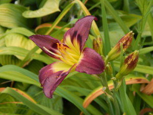 DSCN3649.JPG