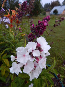 DSCN3795.JPG
