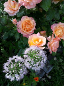20190803_091734.jpg