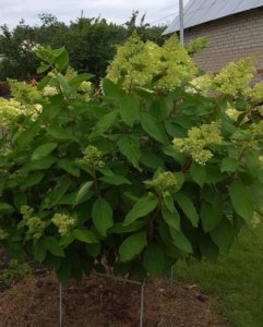 IMG_20190804_230022.jpg