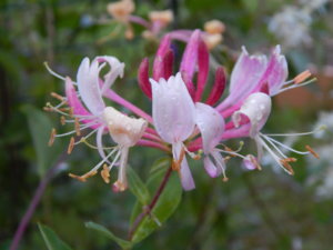 DSCN3772.JPG