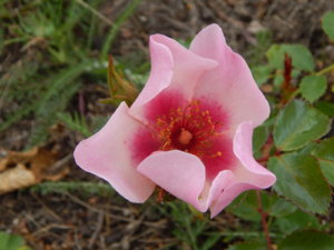 DSCN3633.JPG