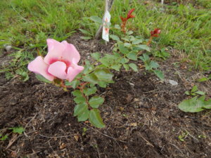 DSCN3635.JPG