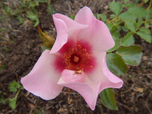 DSCN3636.JPG