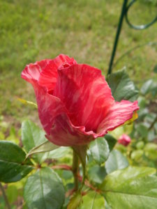 DSCN3718.JPG