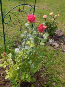 DSCN3720.JPG