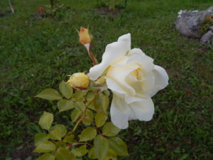 DSCN3631.JPG