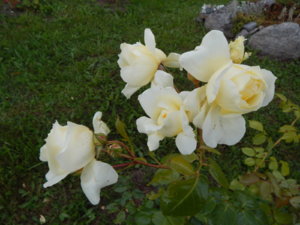 DSCN3632.JPG