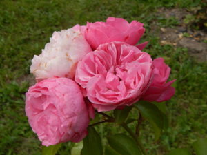 DSCN3692.JPG