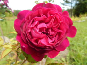 DSCN3697.JPG