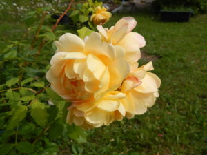 DSCN3733.JPG