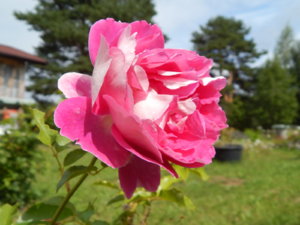 DSCN3734.JPG