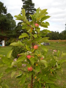 DSCN3671.JPG