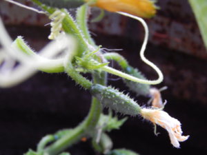 DSCN3810.JPG
