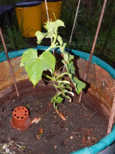 DSCN3811.JPG
