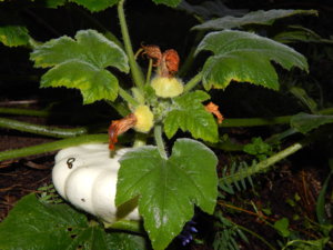 DSCN3813.JPG