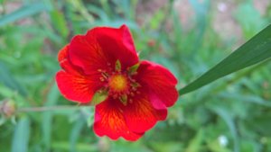 WP_20190731_10_40_40_Pro_LI.jpg