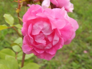 DSCN3657.JPG