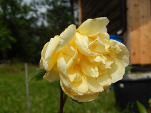 DSCN3739.JPG