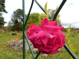 DSCN3756.JPG