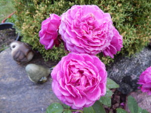DSCN3781.JPG