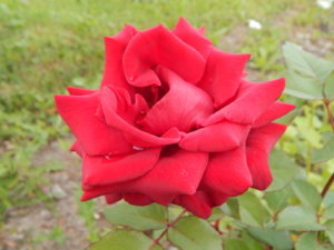 DSCN3638.JPG