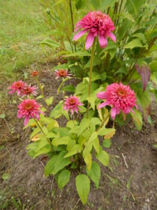 DSCN3643.JPG