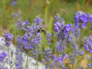 DSCN3711.JPG