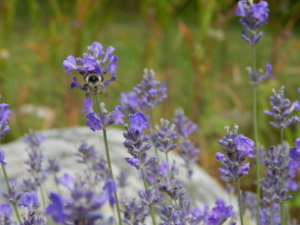 DSCN3712.JPG