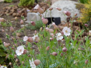 DSCN3678.JPG