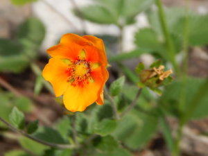 DSCN3679.JPG