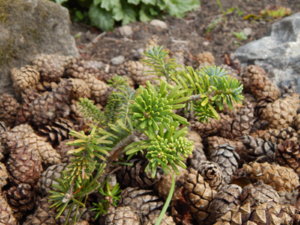 DSCN3680.JPG