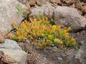 DSCN3681.JPG
