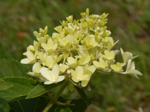 DSCN3682.JPG