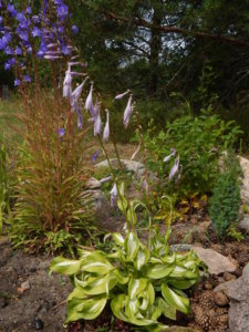DSCN3684.JPG