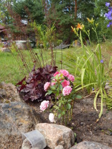 DSCN3685.JPG