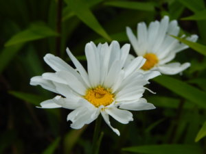 DSCN3727.JPG