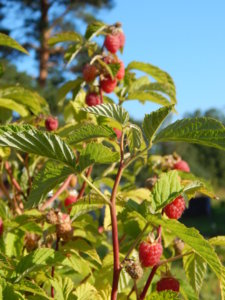 DSCN3282.JPG