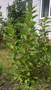 WP_20190807_12_50_45_Pro_LI.jpg