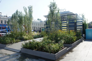 DSC01867.JPG