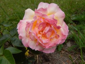 DSCN3660.JPG