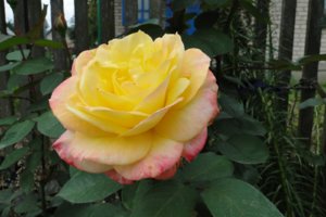 DSC05568.JPG