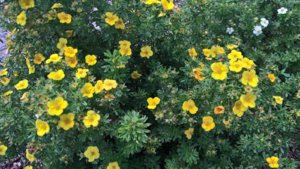 WP_20190808_12_40_37_Pro_LI.jpg