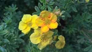WP_20190808_12_40_50_Pro_LI.jpg